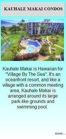 maui634_main_web_site001001.jpg