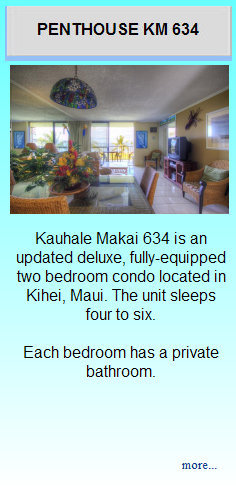 maui634_main_web_site001003.jpg